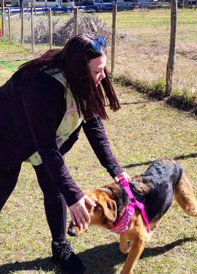 Dog excited to start racing at Backyard Dog Racing League