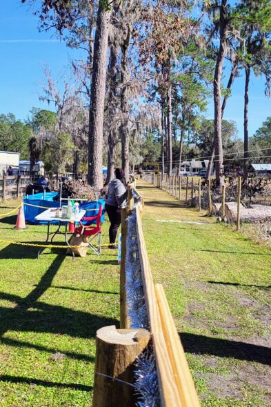 The track at Backyard Dog Racing League