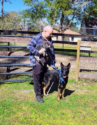 Dogs waiting with owner for backyard dog racing