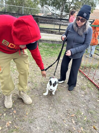dog park with a man and a dog and a woman
