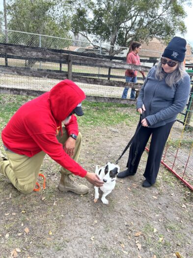 dog park with a man and a dog.