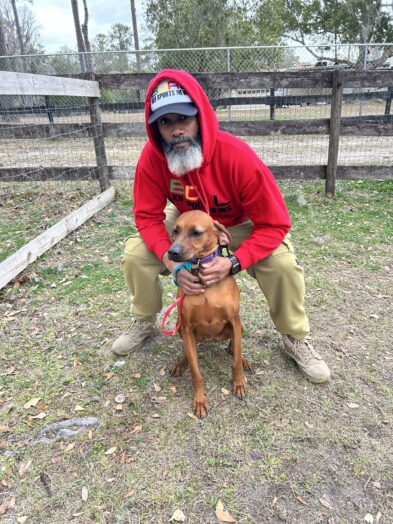 dog park with a man and a dog.