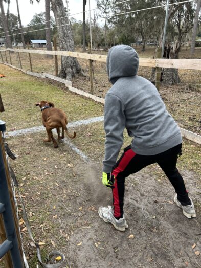 dog park with a man and a dog.