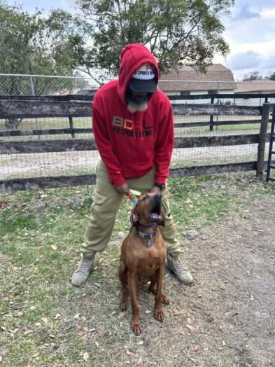 dog park with a man and a dog.
